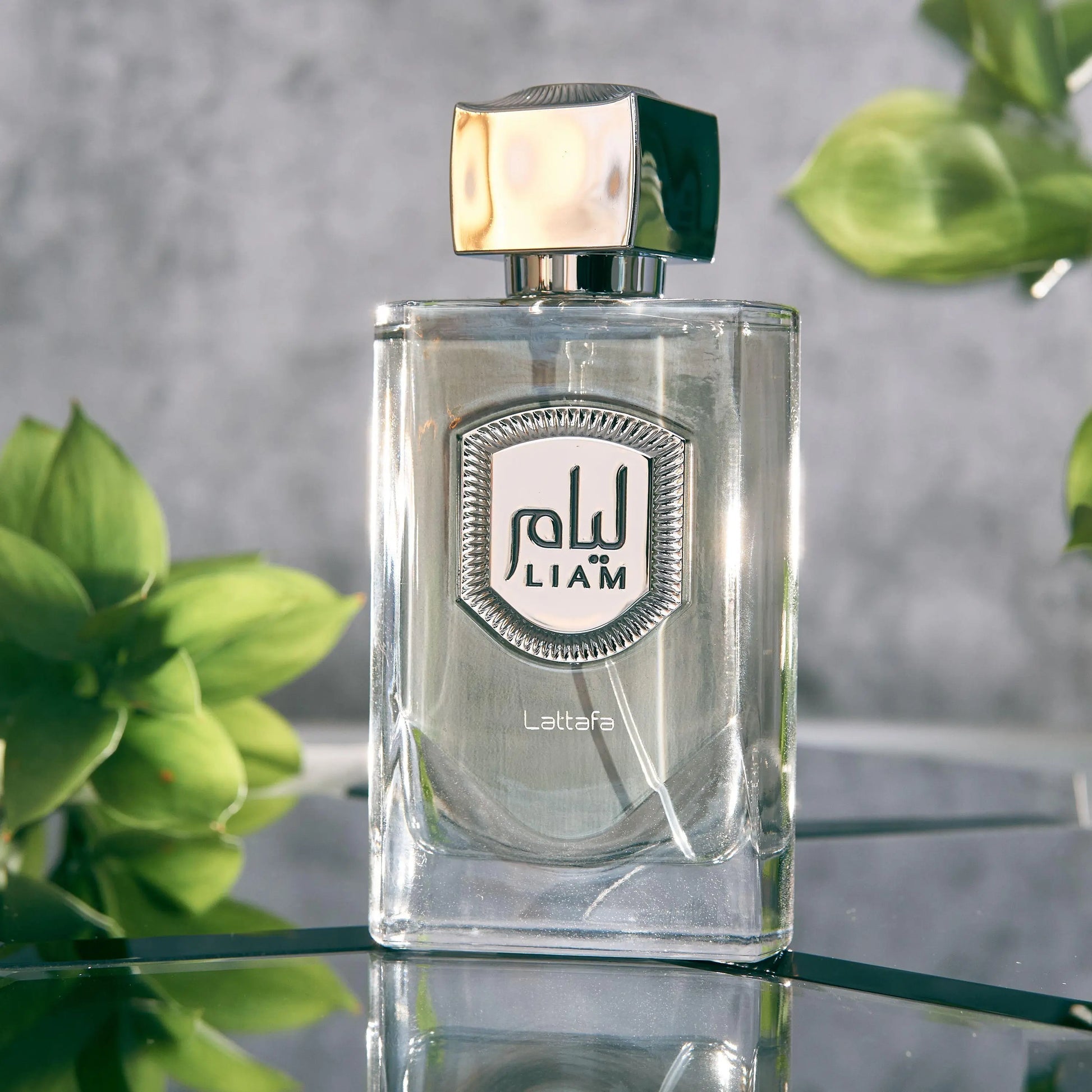 Clear glass perfume bottle with a silver cap on a reflective surface, surrounded by green plants.